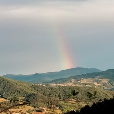 Marzo