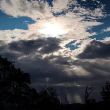 Novembre